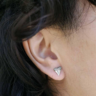 Sterling Silver Shark Tooth Earrings on Ear