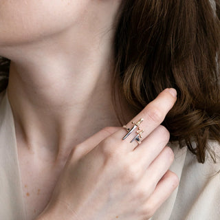 Adjustable Sword Ring on Model