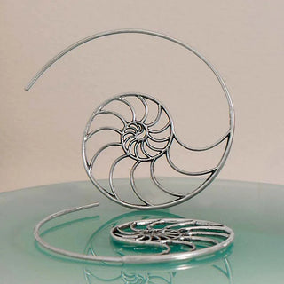 Sterling Silver Nautilus Shell Hoop Earrings