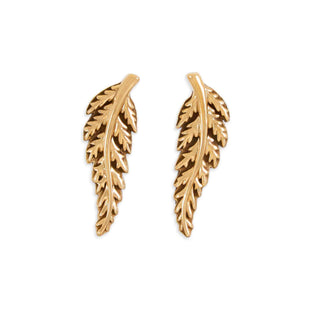 Bronze Fern Post Earrings