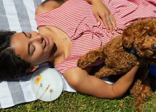 Picnic Perfect