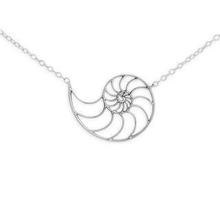 Silver nautilus shell pendant on a chain against a white background