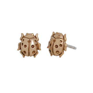 Gold ladybug earrings on a white background