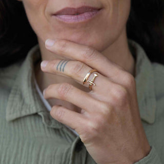 Sword Bypass Ring