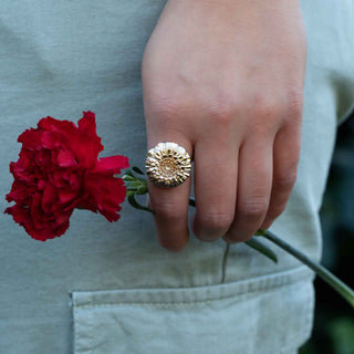 Hand wearing a bronze ring holding a red flower against a light background
